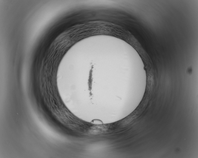 X0000115250765200912111116