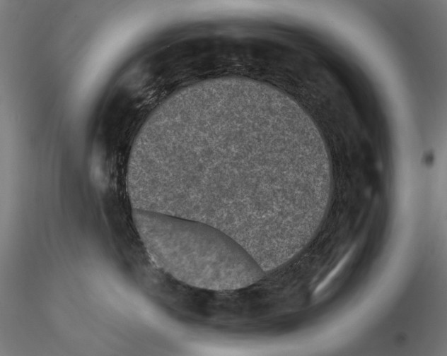 X0000115250766200912111116