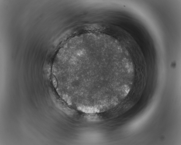 X0000115250767200912111116