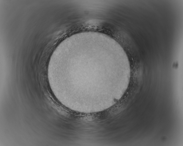 X0000115250769200912111116