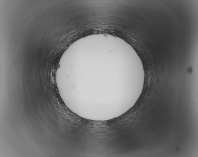 X0000115250770200912111116