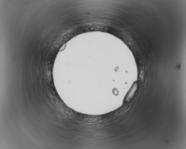 X0000115250771200912111116