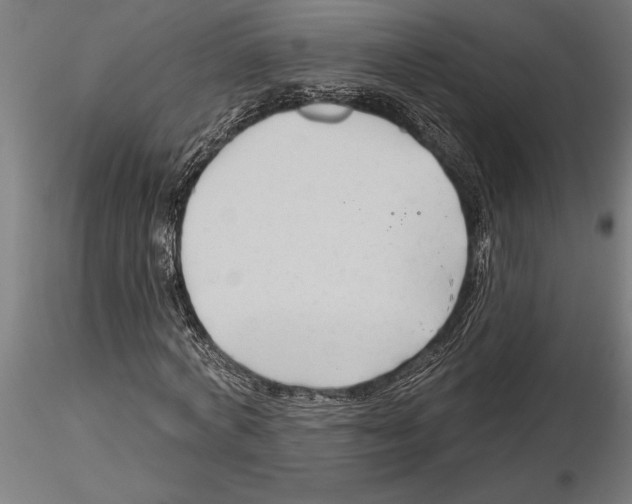 X0000115250772200912111116