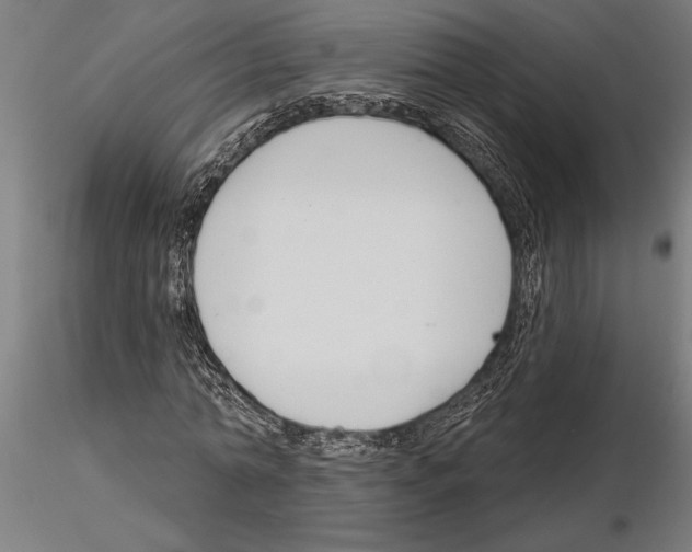 X0000115250774200912111116