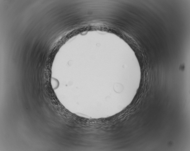 X0000115250776200912111116