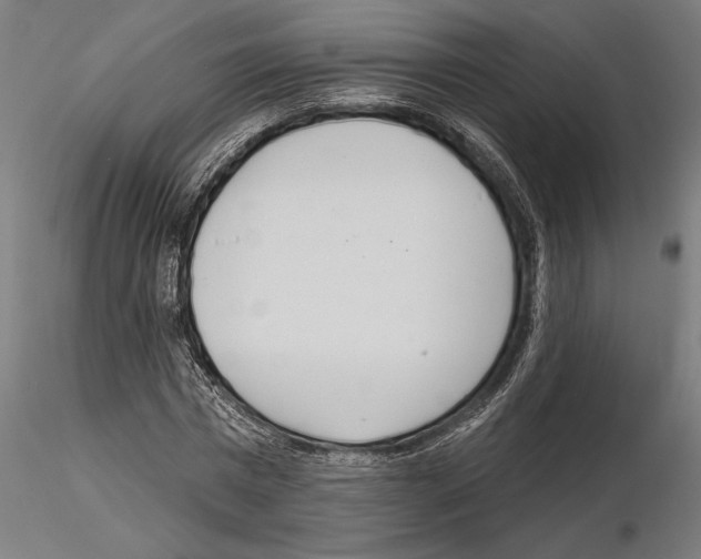 X0000115250777200912111116