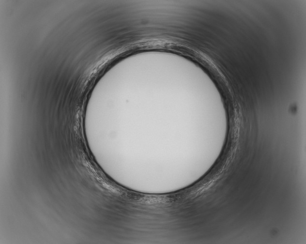 X0000115250778200912111116