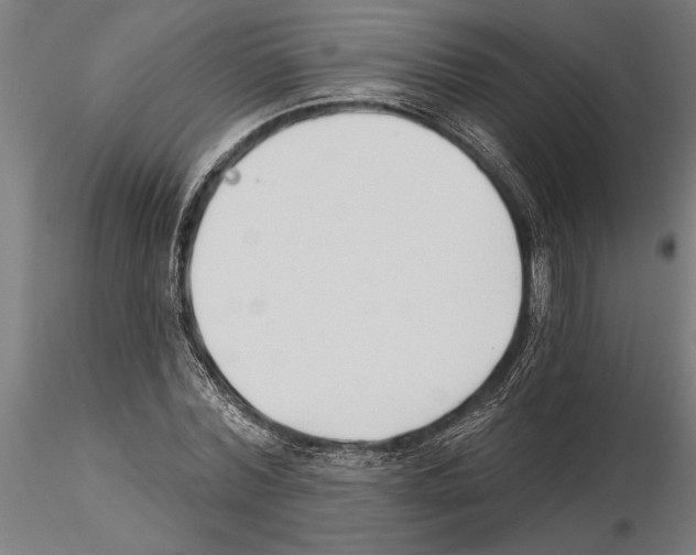 X0000115250780200912111116