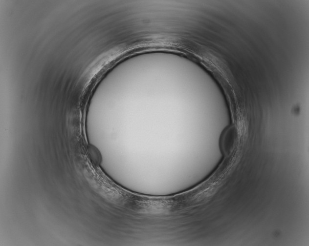 X0000115250781200912111116