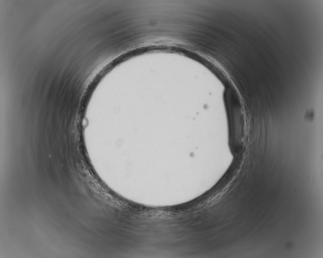 X0000115250783200912111116