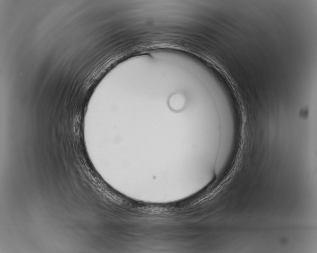 X0000115250785200912111116