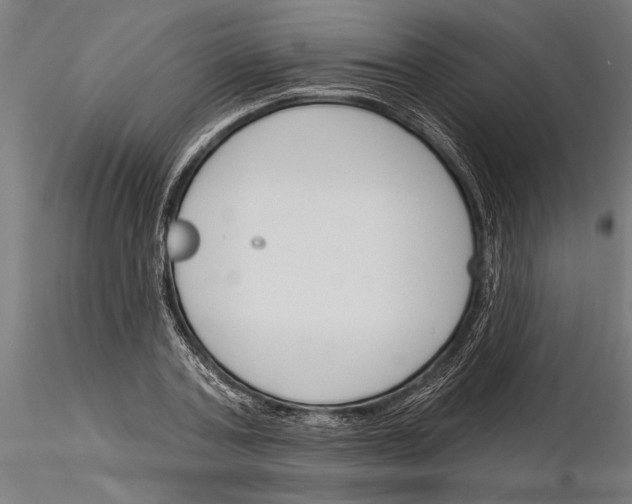 X0000115250787200912111116