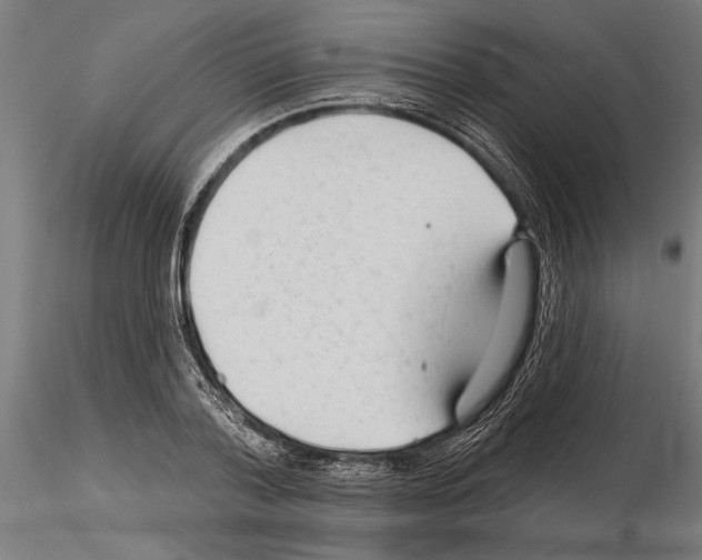 X0000115250788200912111116