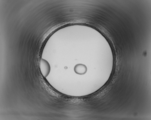 X0000115250789200912111116