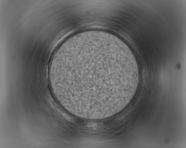 X0000115250790200912111116