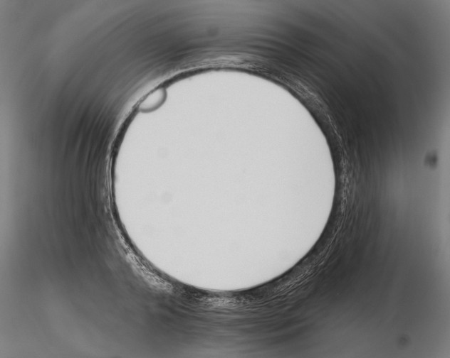 X0000115250792200912111116