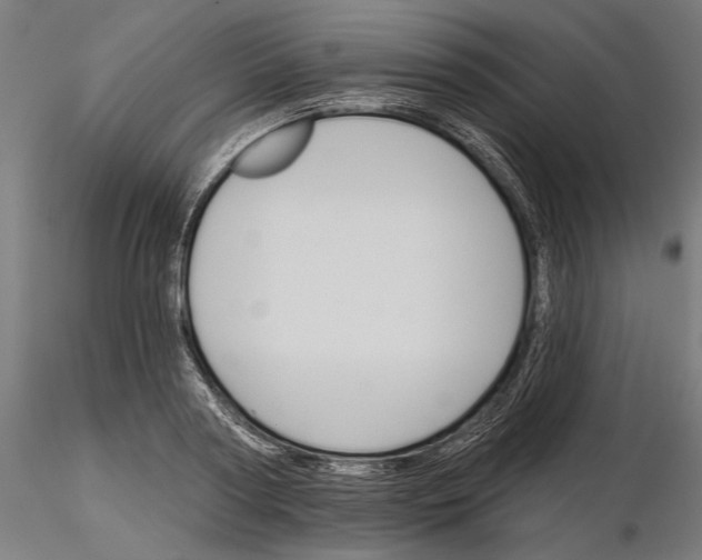 X0000115250794200912111115