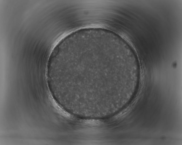 X0000115250797200912111115