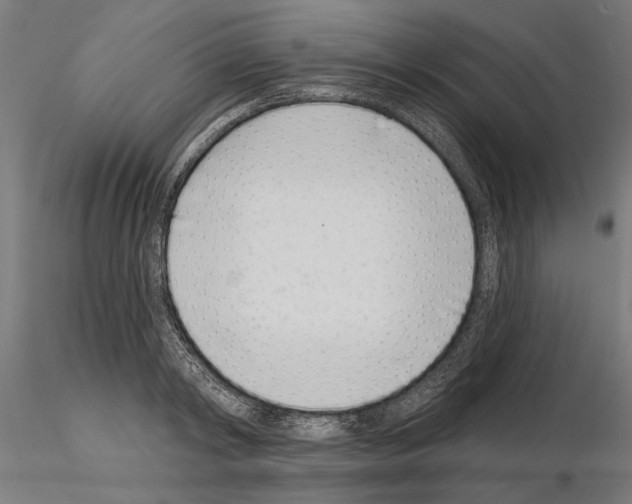 X0000115250798200912111115