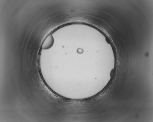 X0000115250799200912111115