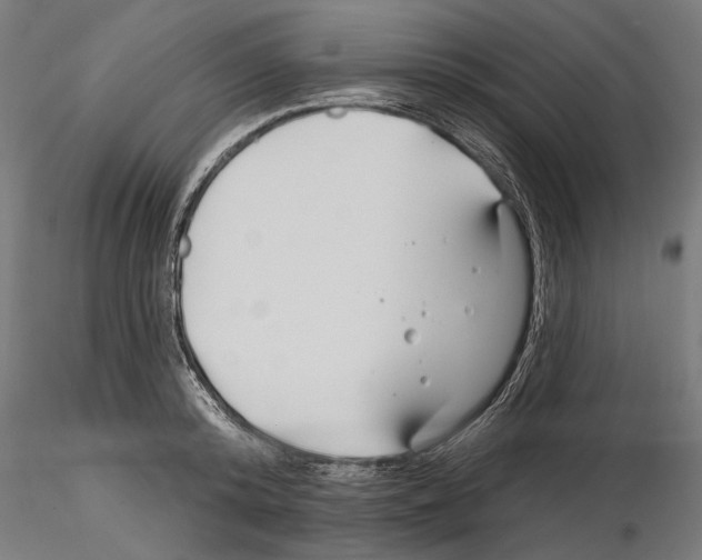 X0000115250800200912111115