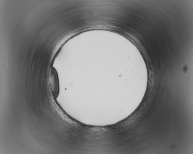 X0000115250804200912111115