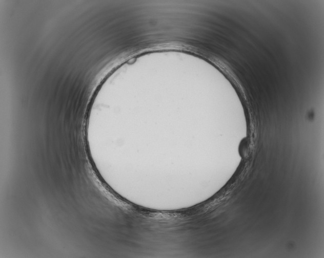 X0000115250805200912111115