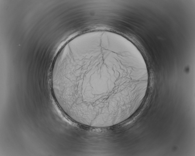 X0000115250806200912111115