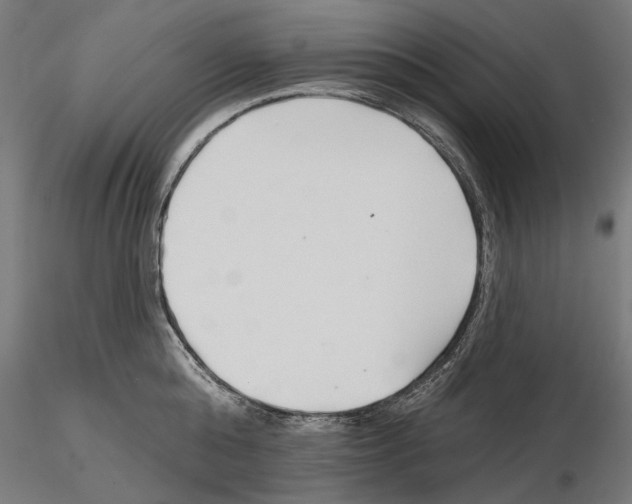 X0000115250808200912111115