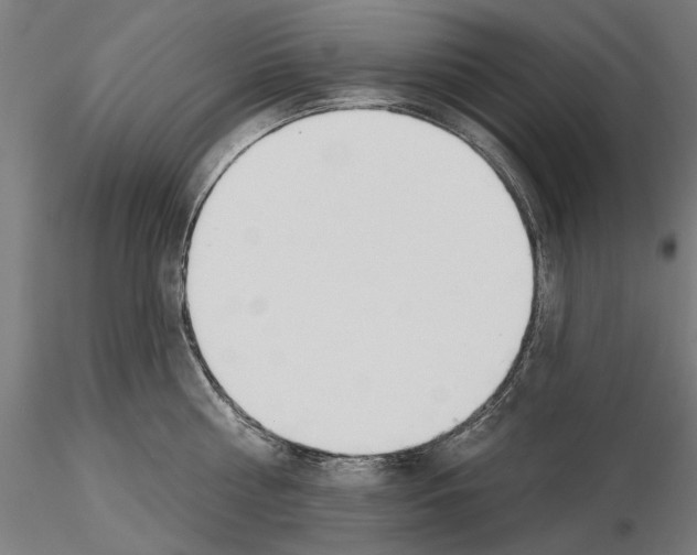 X0000115250810200912111115