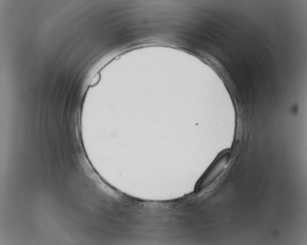 X0000115250812200912111115