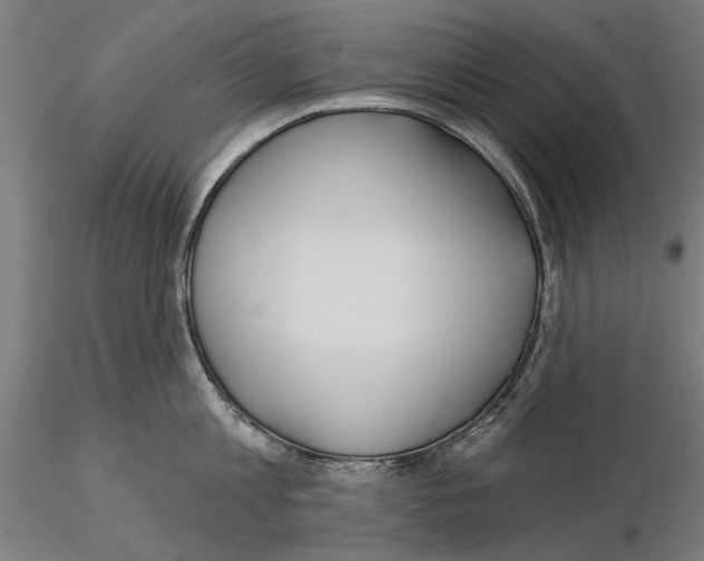 X0000115250813200912111115