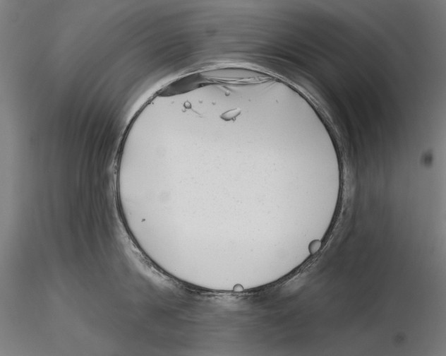 X0000115250814200912111115