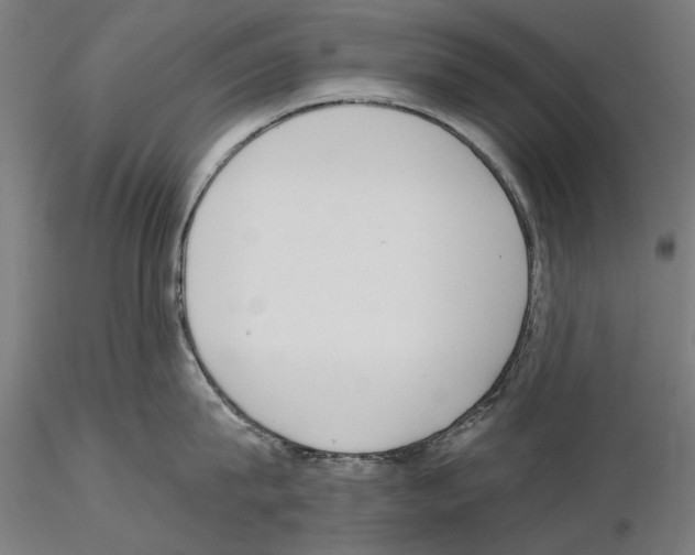 X0000115250815200912111115