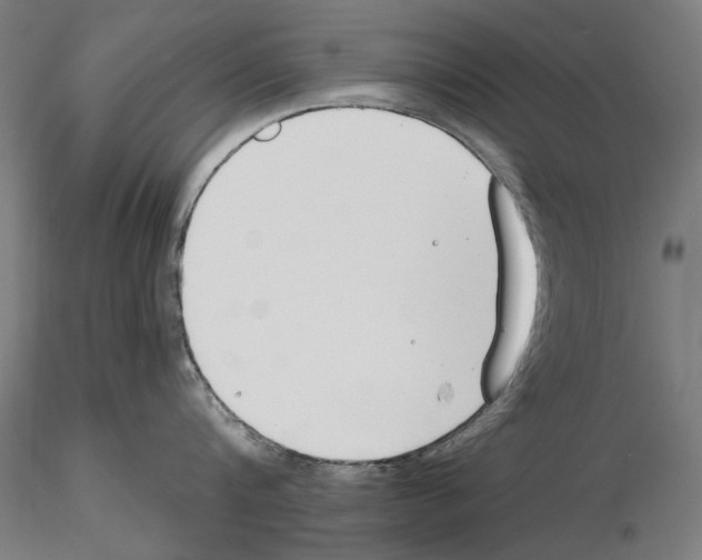 X0000115250816200912111115