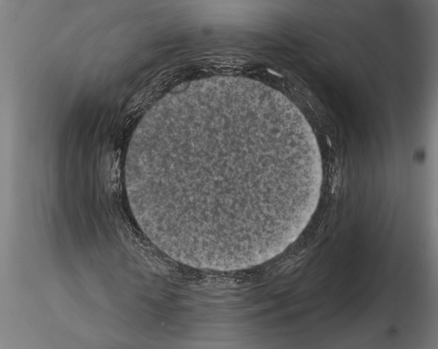 X0000115250818200912111115