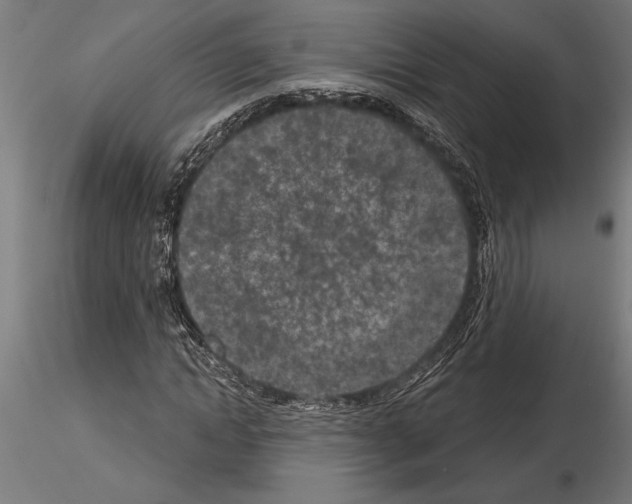 X0000115250822200912111115