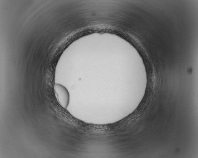 X0000115250823200912111115