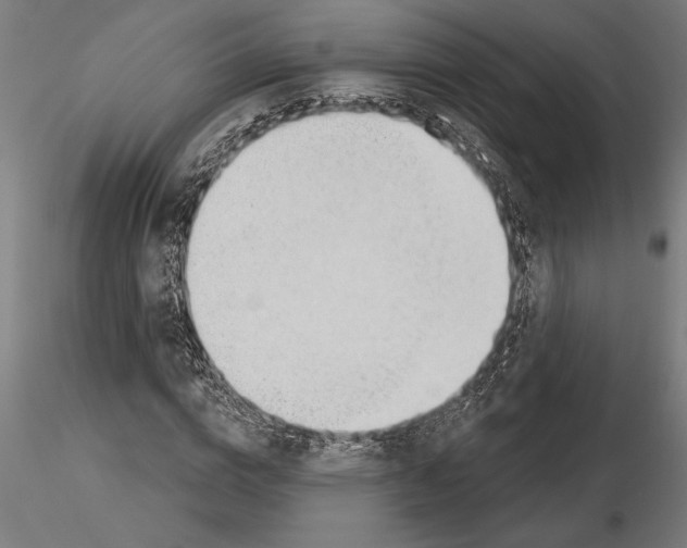 X0000115250824200912111115