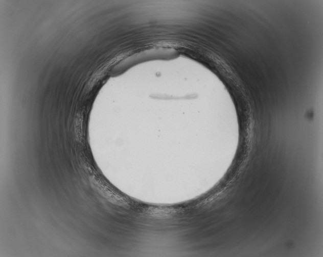 X0000115250825200912111115