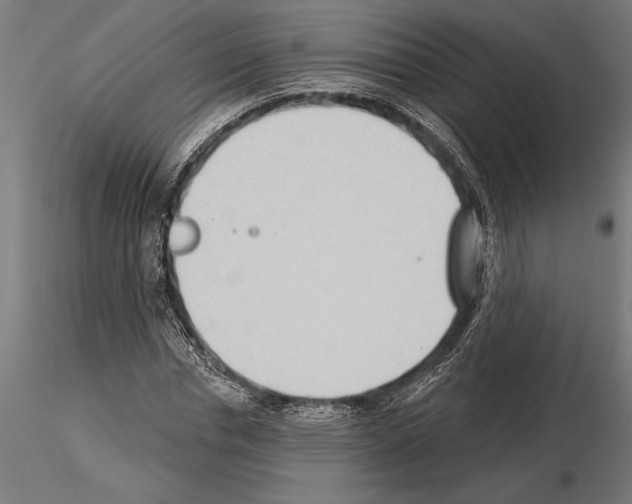 X0000115250826200912111115