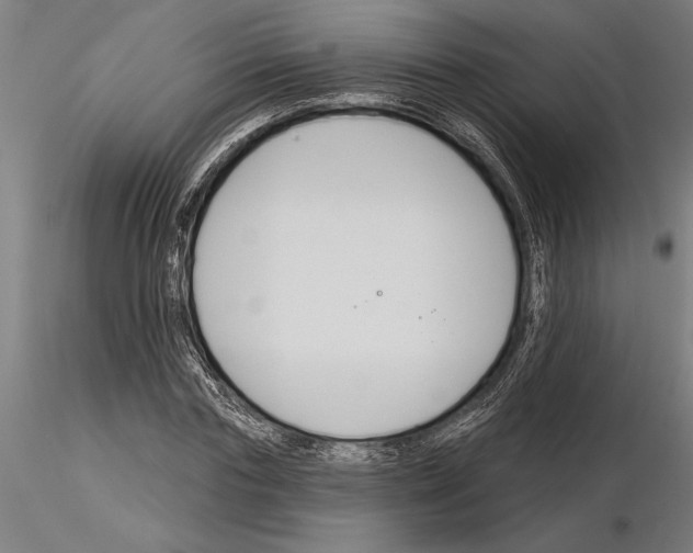 X0000115250827200912111115