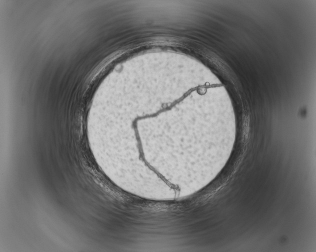 X0000115250829200912111115