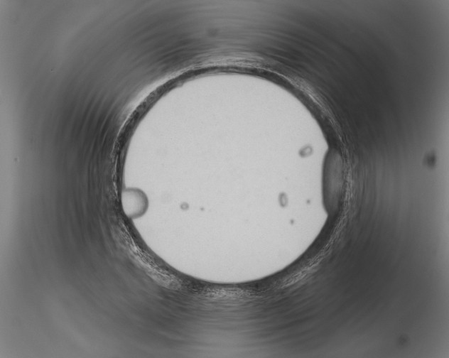 X0000115250830200912111115