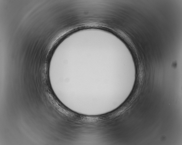 X0000115250831200912111115