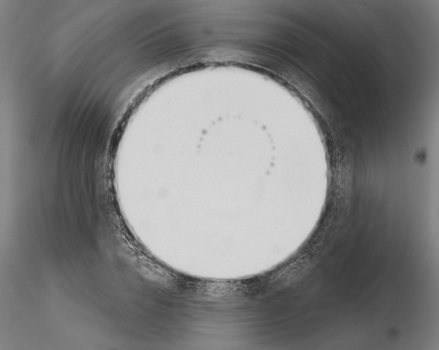 X0000115250832200912111115