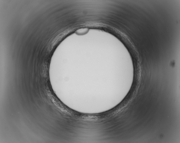 X0000115250833200912111115