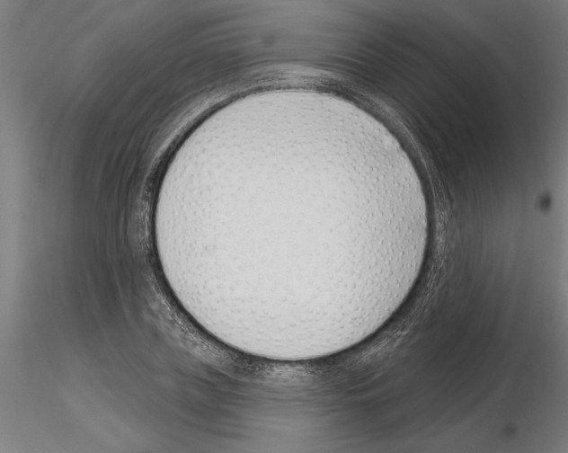 X0000115250835200912111115