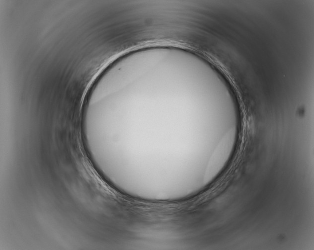 X0000115250836200912111115