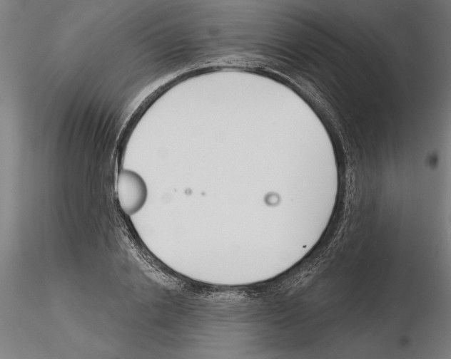 X0000115250838200912111115